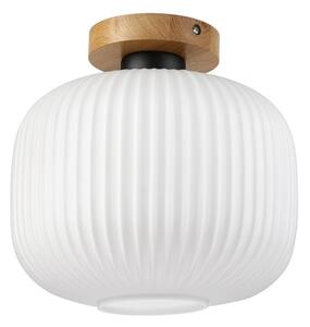 Stropné svietidlo HARMA WOOD 1xE27/15W/230V dub/biela priemer 25 cm