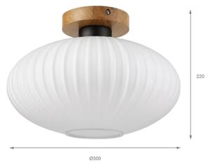 Stropné svietidlo HARMA WOOD 1xE27/15W/230V dub/biela pr. 30 cm