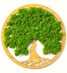 Machový obraz - Strom života Veľkosť rámu: 30cm