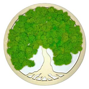 Machový obraz - Strom života NAT - lišajník Veľkosť rámu: 30cm