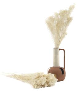 Stabilizované kvety Broom - Biele