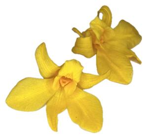 Stabilizované kvety Orchidea Dendrobium - žlté