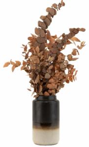 Stabilizovaný eukalyptus Stuartiana - oranžový