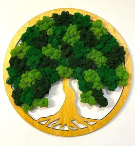 Machový obraz - Strom života - lišajník MX Veľkosť rámu: 30cm