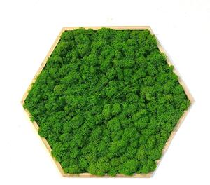 Machový obraz - Hexagon Veľkosť rámu: 21cm ( v najširšom bode )