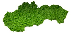 Machový obraz - mapa Slovenska Veľkosť: 135 x 67cm
