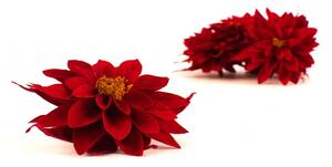 Stabilizované kvety Dahlia - červená