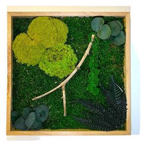 Machový obraz s rastlinami 3D - štvorec Veľkosť: 60x60cm