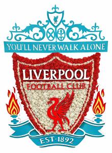 Machové logo - LIVERPOOL Veľkosť: 44x60cm