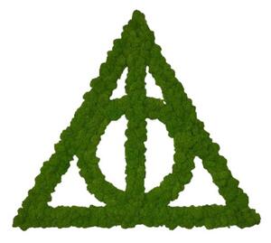 Machový obraz - Harry Potter Veľkosť rámu: 33x29cm