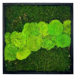 Machový obraz Quad Veľkosť: 20x20cm