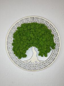 Machový obraz - s bielym ornamentom Veľkosť rámu: 30cm