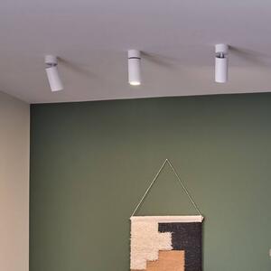 Paulmann Stropné LED svetlo Turnal Coin, biele, kovové, 2 700 K, Biela / opálová, Obývacia izba / jedáleň, kov, Moderný, Zapustené okrúhle