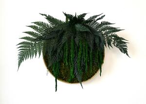 Machový kruh - Lola Veľkosť rámu: 40cm