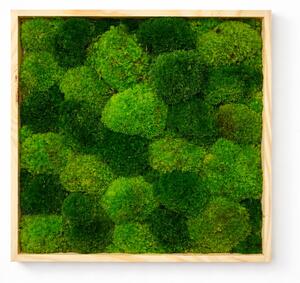 Machový obraz štvorec- kopčeky Veľkosť rámu: 20x20cm