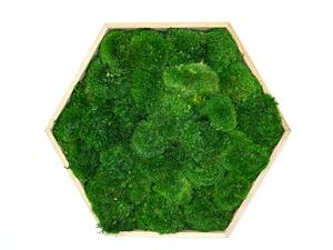 Hexagon Jery Veľkosť rámu: 21cm - v najširšom bode