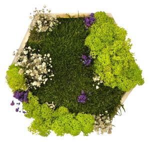 Machový hexagon Ela Veľkosť rámu: 21cm - v najširšom bode