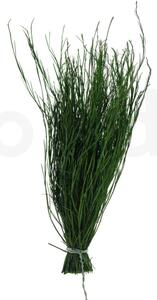 Stabilizovaný asparagus Posy