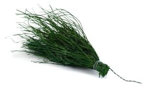 Stabilizovaný asparagus Posy