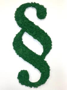 Machový obraz - paragraf Veľkosť: 40cm x 19cm