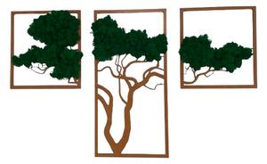 Machový obraz - strom TRIO Veľkosť rámu: 78cm x 49cm