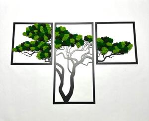Machový obraz - strom TRIO Veľkosť rámu: 78cm x 49cm