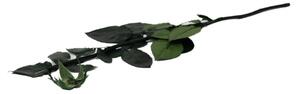Stabilizovaná stonka a kalich ruže Veľkosť: Stonka 30 cm