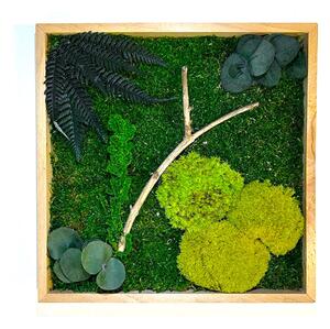 Machový obraz mini s rastlinami Veľkosť: 20x20cm