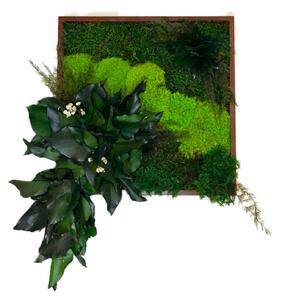 Machový obraz mini s rastlinami Veľkosť: 20x20cm