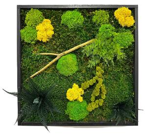 Machový obraz mini nature Veľkosť: 20x20cm
