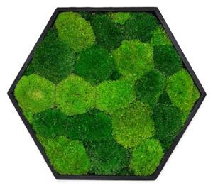 Hexagon Jery Veľkosť rámu: 21cm - v najširšom bode
