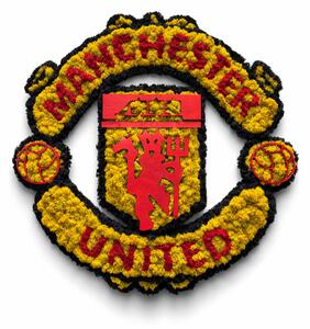 Machové logo - Manchester United