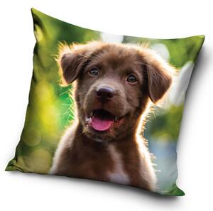 DETSKÁ DEKORAČNÁ OBLIEČKA NA VANKÚŠ DOG 40X40 CM VZOROVANÁ