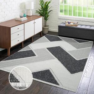 Dekorstudio Moderný koberec LINDO 8877 - sivý Rozmer koberca: 200x290cm
