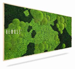 Machový obraz BEMOSS® ORTHO CORCON - 60 x 100 cm