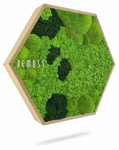 Machový Hexagon BEMOSS® ORTHO CORCON - Priemer 40 cm (v najširšom mieste šesťuholníka)