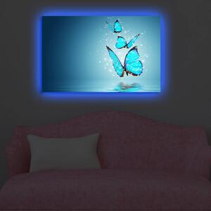 ASIR Obraz na plátne s LED podsvietením MOTÝLE 45 cm