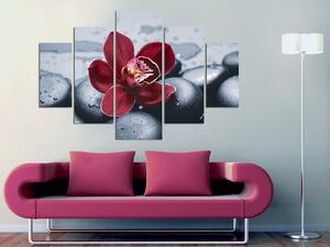 ASIR Obraz ORCHID 92 MDF 5 ks
