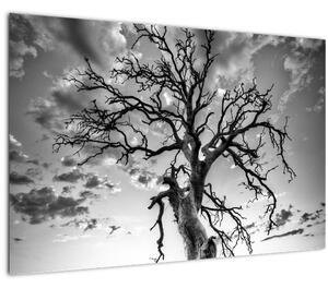 Obraz - Čiernobiely strom (90x60 cm)