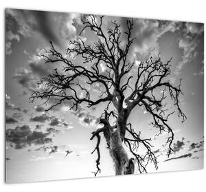 Obraz - Čiernobiely strom (70x50 cm)