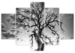 Obraz - Čiernobiely strom (150x105 cm)