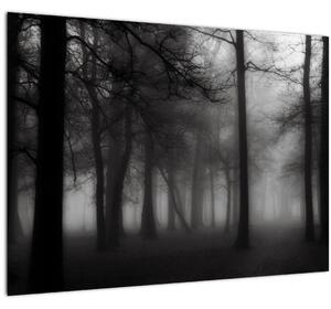Obraz - Les v hmle (70x50 cm)