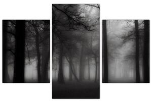 Obraz - Les v hmle (90x60 cm)