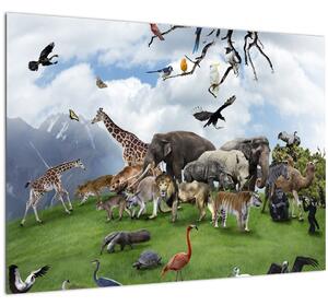 Obraz - Zvieratká na ostrove (70x50 cm)