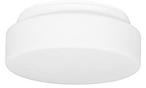Ecolite W122/B-BI - Stropné svietidlo HECTOR 1xE27/60W/230V IP44 biela