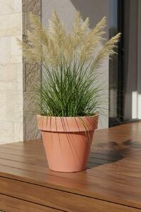 Kvetináč LEVANTA, plast, výška 63 cm, natur