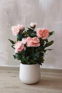 Umelá pivonka v krémovom kvetináči PEONY, výška 70 cm, ružová