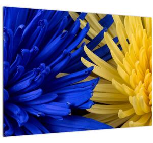 Sklenený obraz - detail kvetov (70x50 cm)