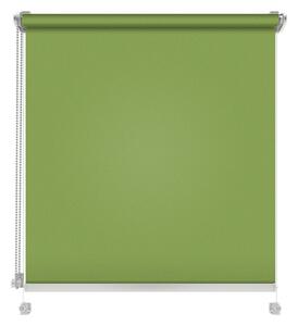 Roleta Mini Standard Hladká Jarná zelená Šírka: 100 cm, Výška: 150 cm