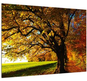 Sklenený obraz jesenného stromu (70x50 cm)